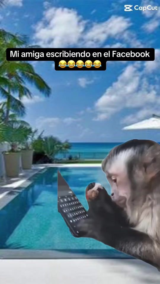 TikTok video thumbnail by sandralorenacobos