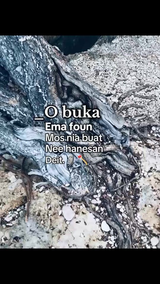 TikTok video thumbnail by kontak4554