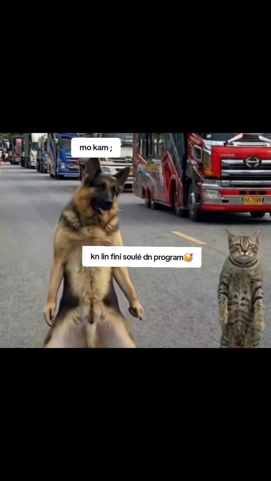 TikTok video thumbnail by a..k..s..h..a..y22