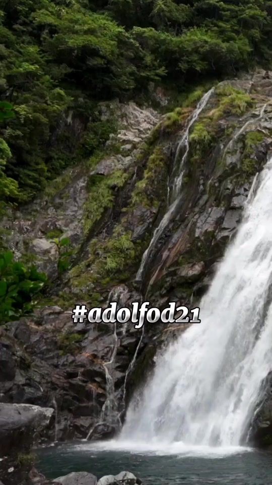 TikTok video thumbnail by adolfod21