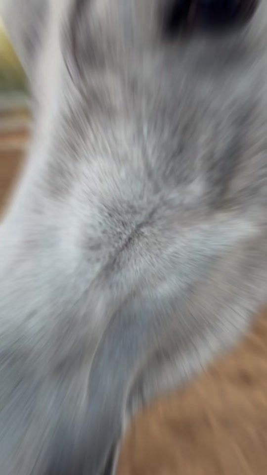 TikTok video thumbnail by ahasouna