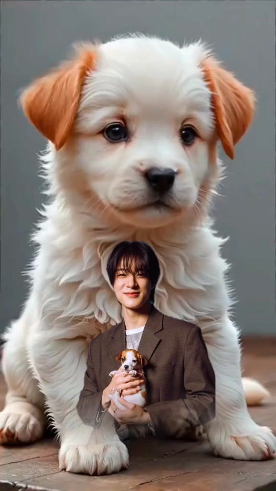 TikTok video thumbnail by tutviralmix