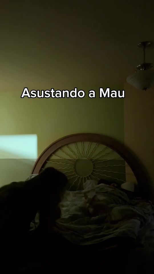 TikTok video thumbnail by val_castillo.22