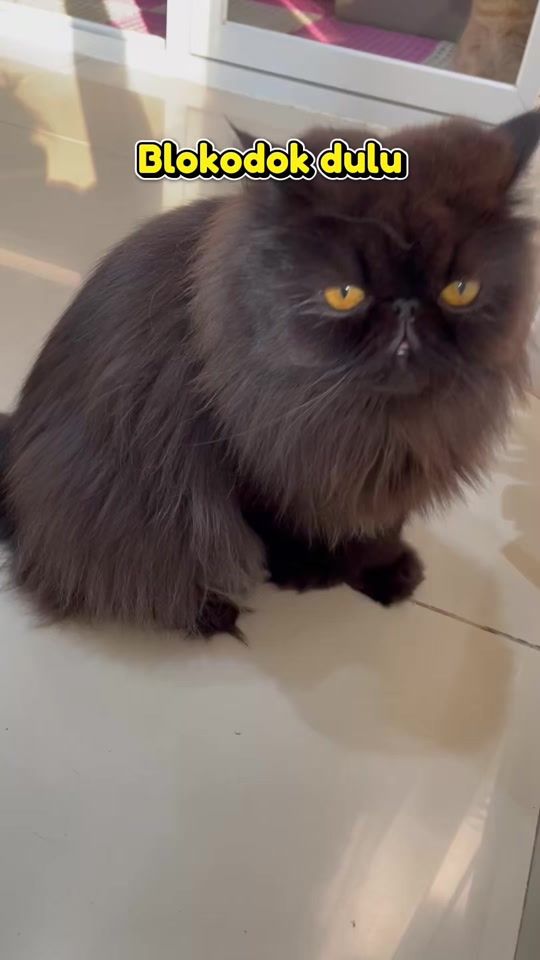 TikTok video thumbnail by olivecareofficial