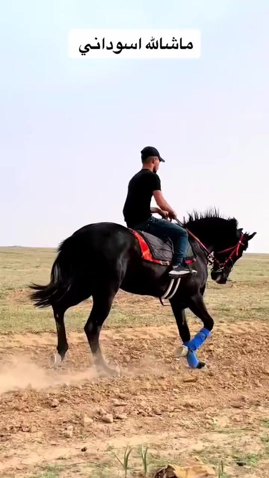TikTok video thumbnail by us46096