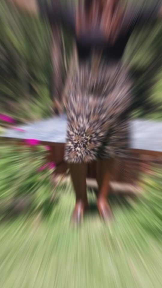 TikTok video thumbnail by starevalyneyatich