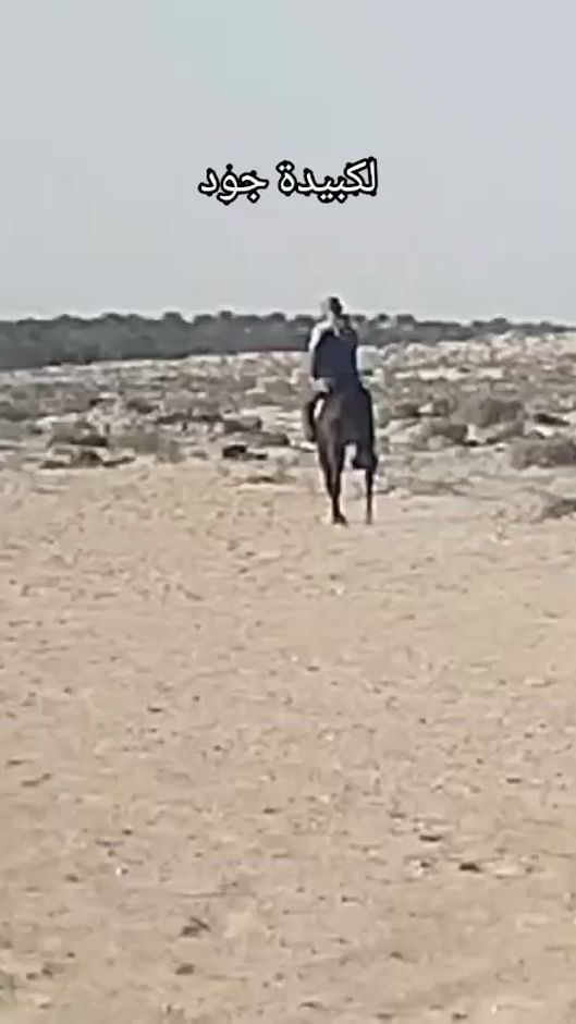 TikTok video thumbnail by nacer..chayeb