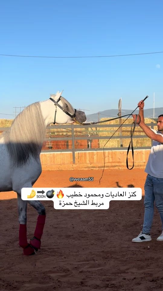 TikTok video thumbnail by weaam.55