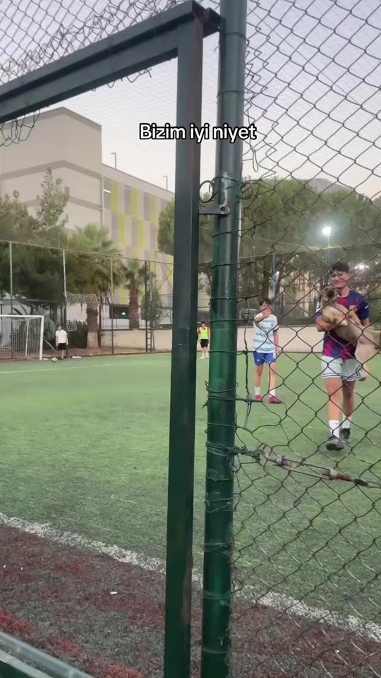 TikTok video thumbnail by sarpkocademir_