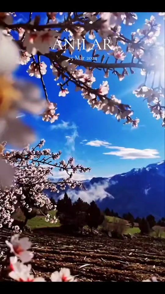 TikTok video thumbnail by yamacko96