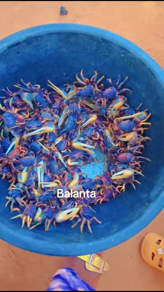 TikTok video thumbnail by veroniha33