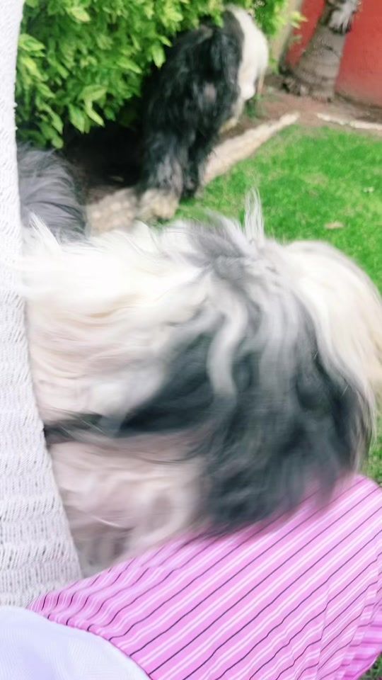 TikTok video thumbnail by anagutierrezspa