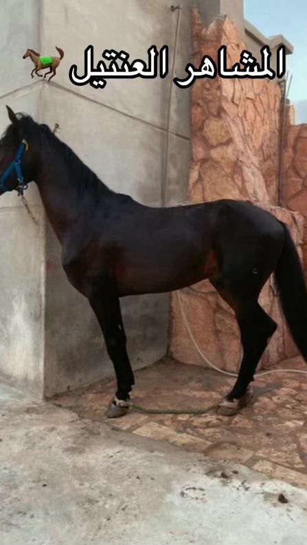 TikTok video thumbnail by a2001com1