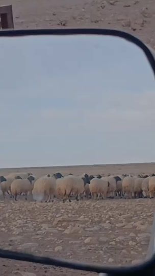 TikTok video thumbnail by ambark_01