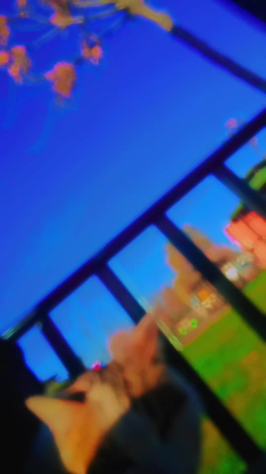 TikTok video thumbnail by its_199430