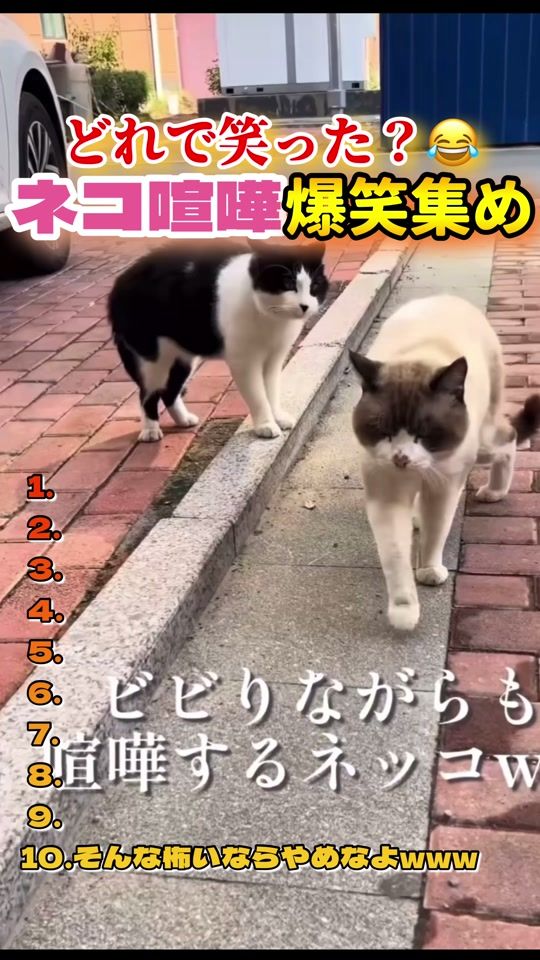 TikTok video thumbnail by tetsu.dochiha