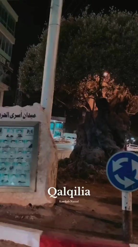TikTok video thumbnail by kawkab_nazzal