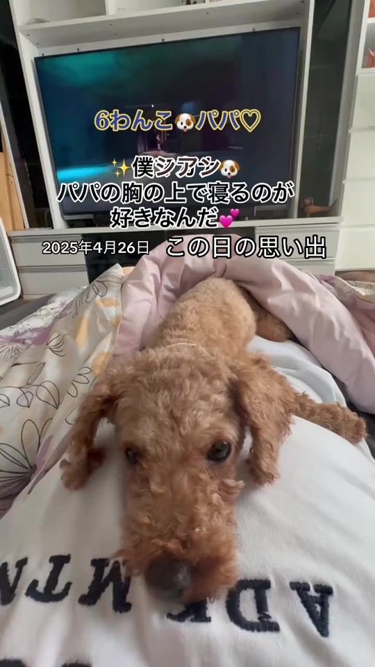 TikTok video thumbnail by masao0704