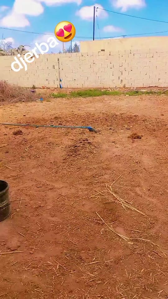 TikTok video thumbnail by bentmohmed3