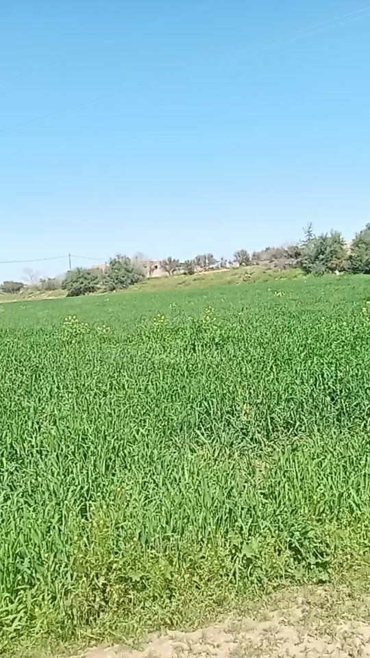 TikTok video thumbnail by user911167940