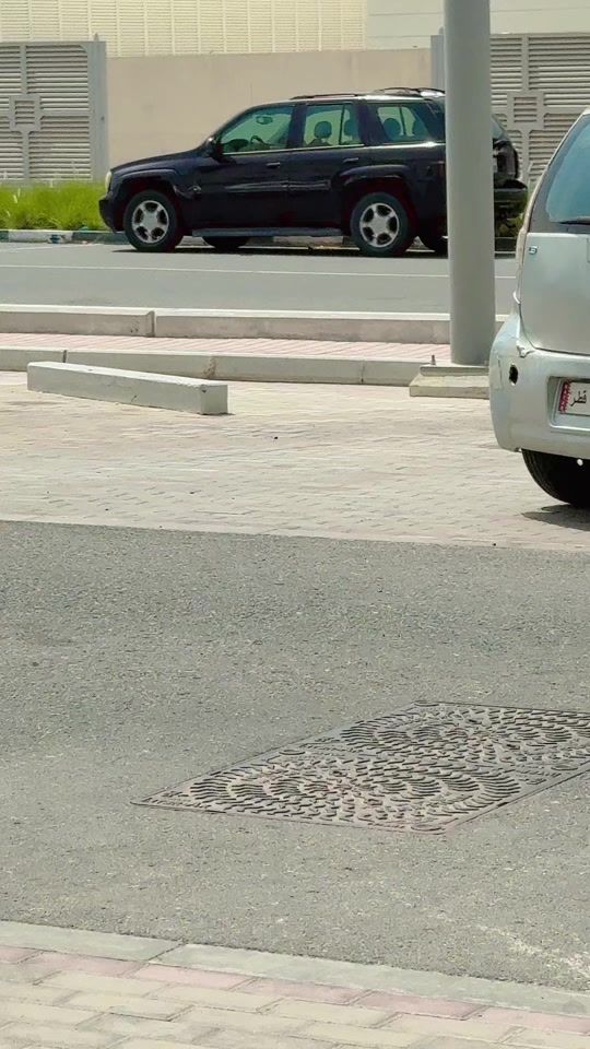 TikTok video thumbnail by sonam_thakali