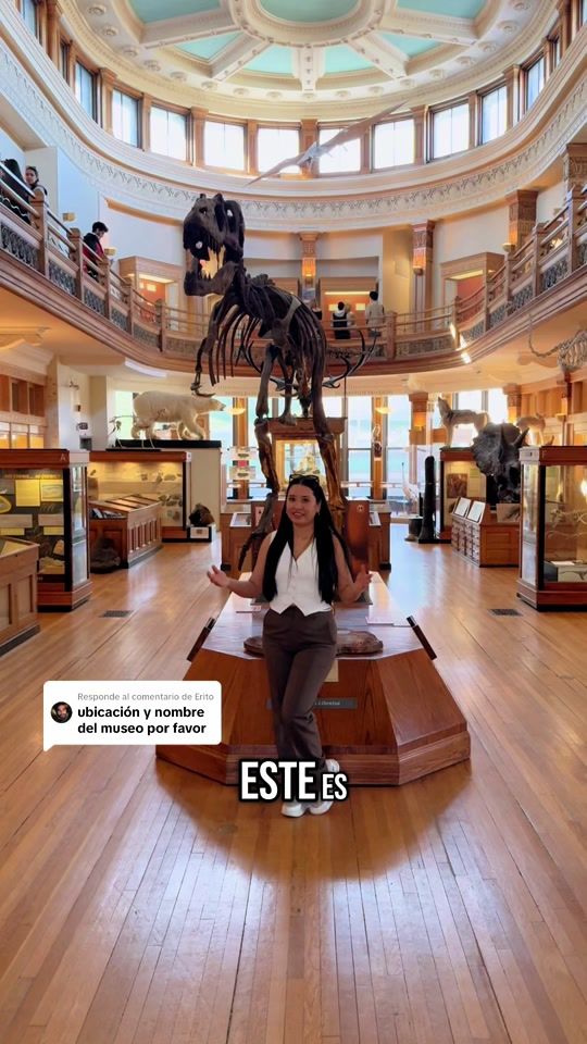 TikTok video thumbnail by alcast24