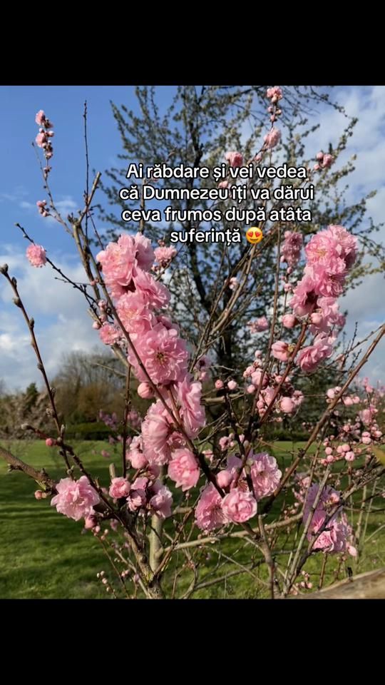 TikTok video thumbnail by __catalincik_