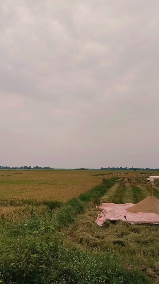 TikTok video thumbnail by aungpuy1972
