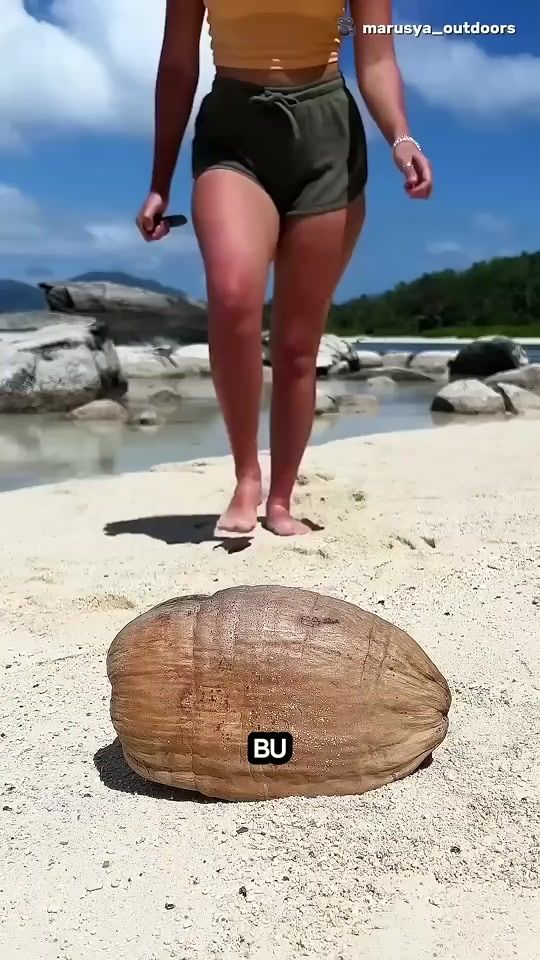 TikTok video thumbnail by ahmet_adav