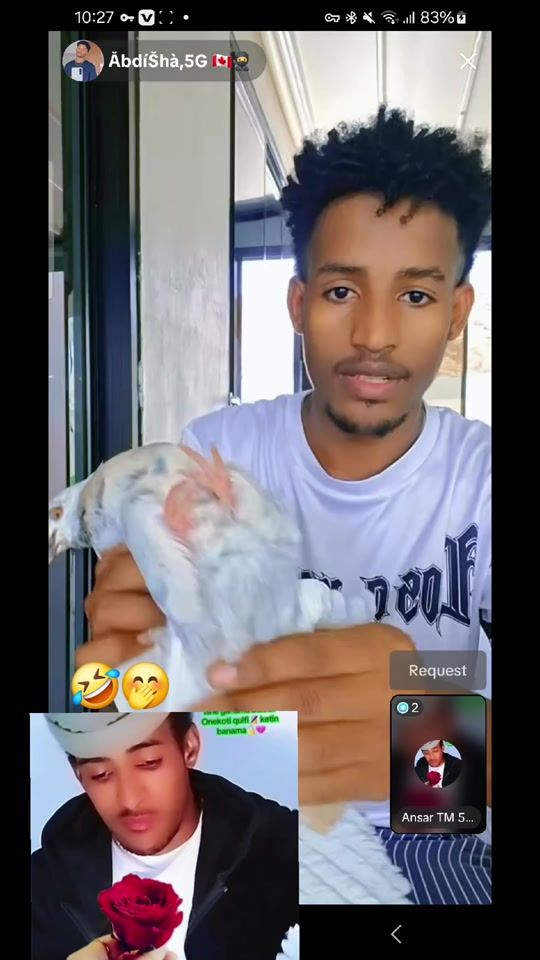 TikTok video thumbnail by wanofiko093