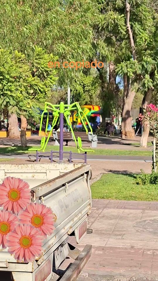 TikTok video thumbnail by soledad19741