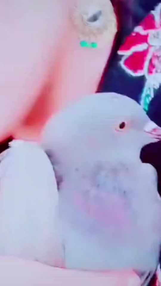 TikTok video thumbnail by assma892