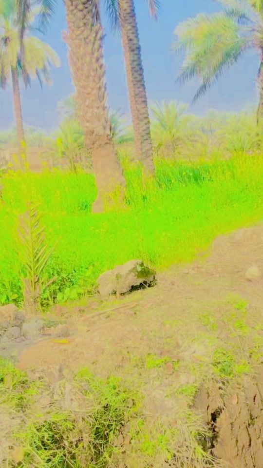 TikTok video thumbnail by shafimuammad59