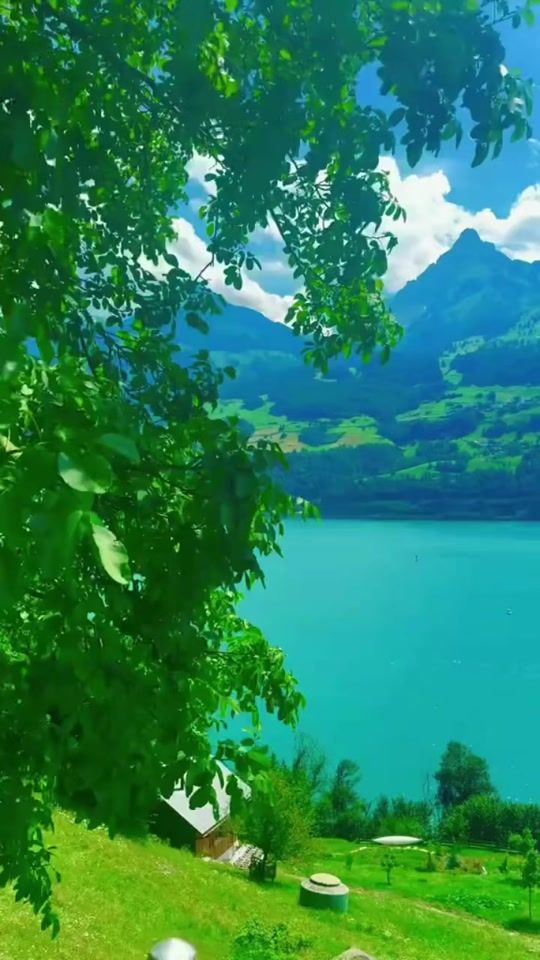 TikTok video thumbnail by akbar.19764