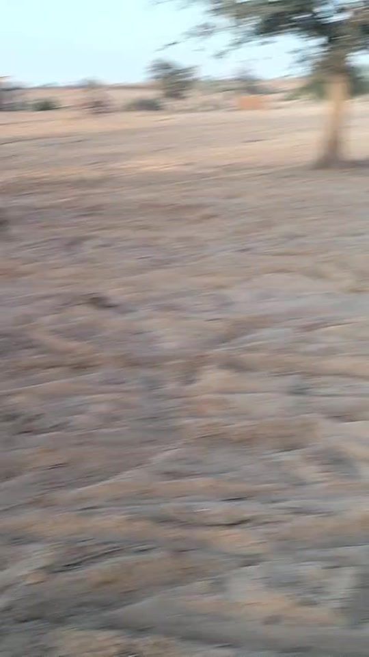 TikTok video thumbnail by assmn44
