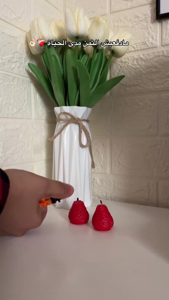 TikTok video thumbnail by tulipe_home