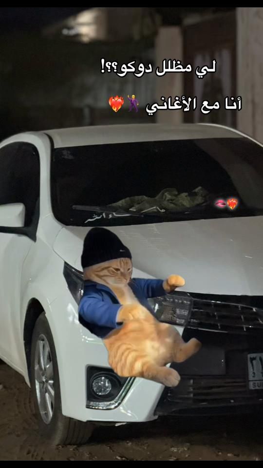 TikTok video thumbnail by ab3o_249