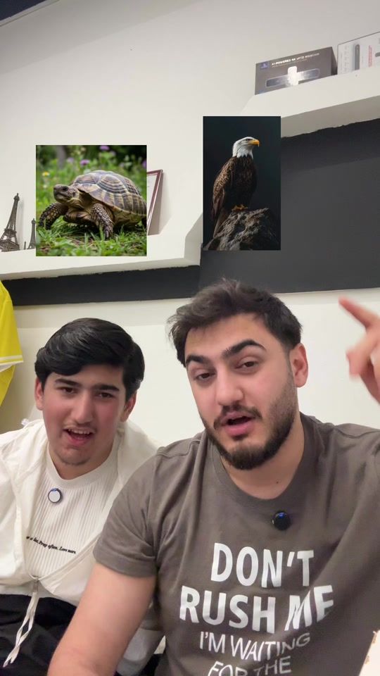 TikTok video thumbnail by ibookurdish