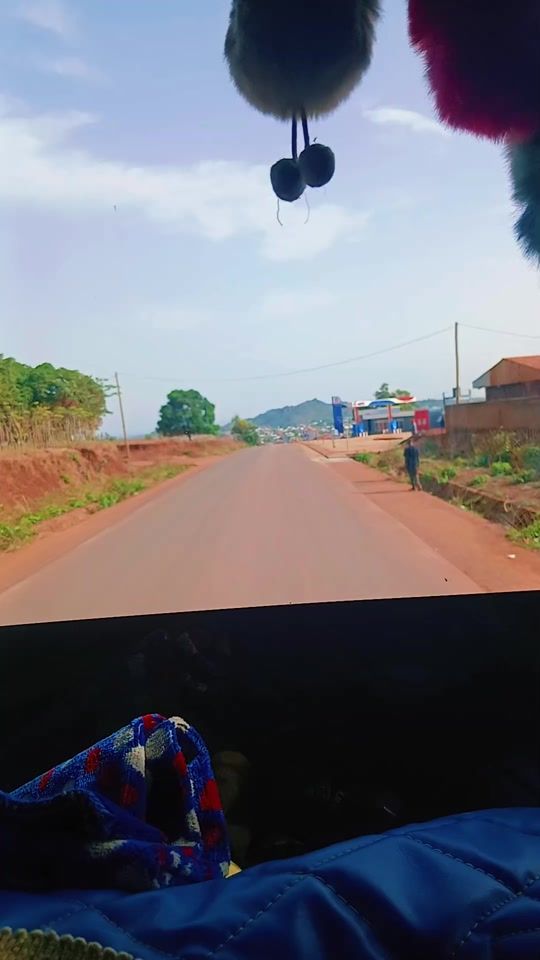 TikTok video thumbnail by future.cur.lion