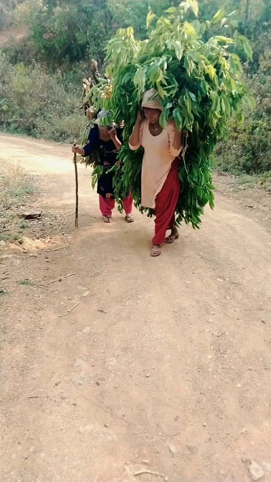 TikTok video thumbnail by dilbudha8