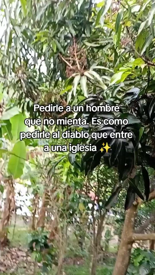 TikTok video thumbnail by vanessicruz