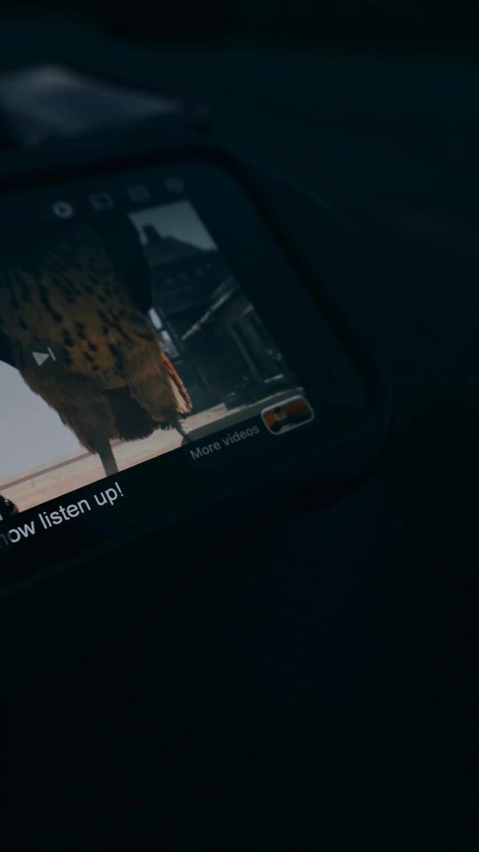 TikTok video thumbnail by ai_am_truth