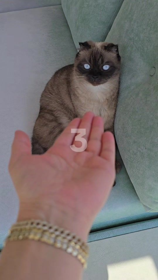 TikTok video thumbnail by suheyladeriin