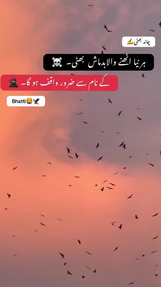 TikTok video thumbnail by bhatti_972