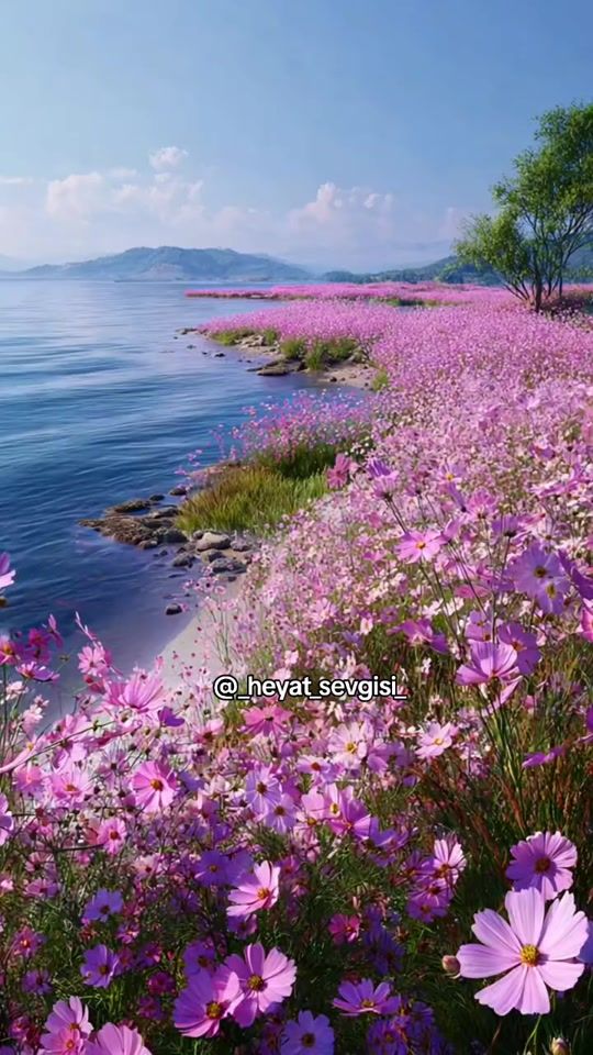 TikTok video thumbnail by _heyat_sevgisi_
