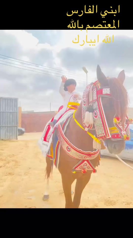 TikTok video thumbnail by user28303826