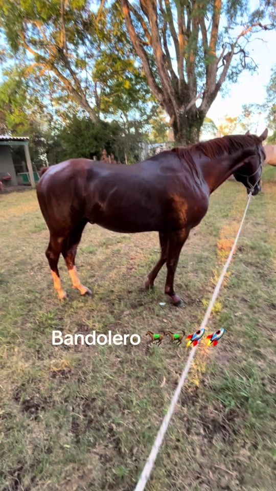 TikTok video thumbnail by ramirorodriguezdacunda