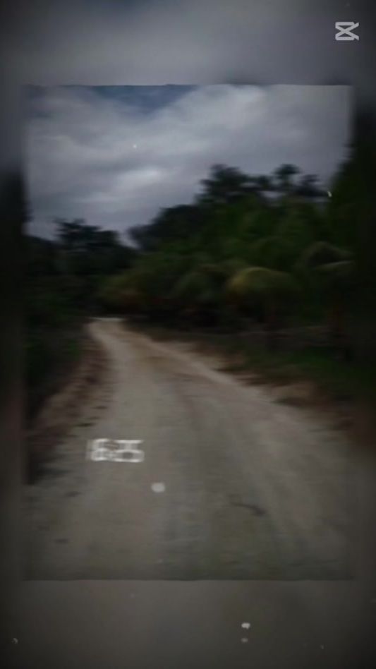TikTok video thumbnail by stephii024
