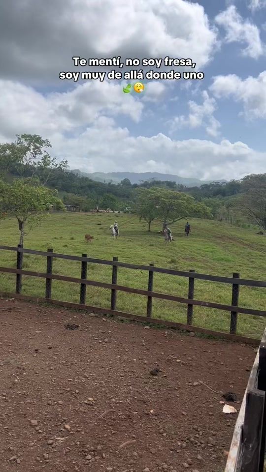 TikTok video thumbnail by daybelisedith_
