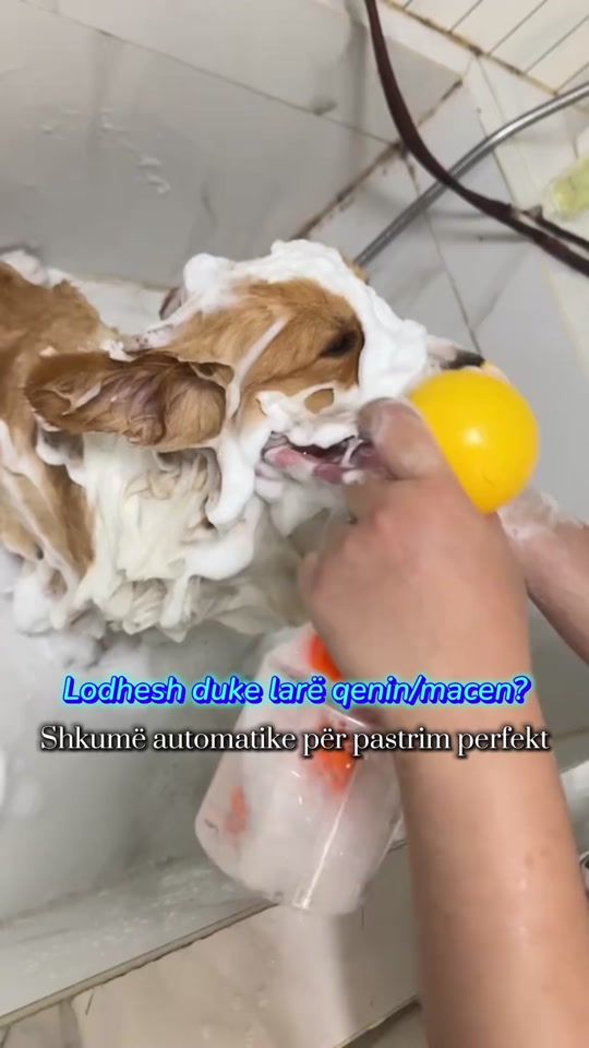 TikTok video thumbnail by blejlirealb